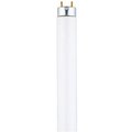 Westinghouse Westinghouse 702900 32 watt T8 Linear 841 Fluorescent Light Bulb; Cool White - Pack of 25 702900